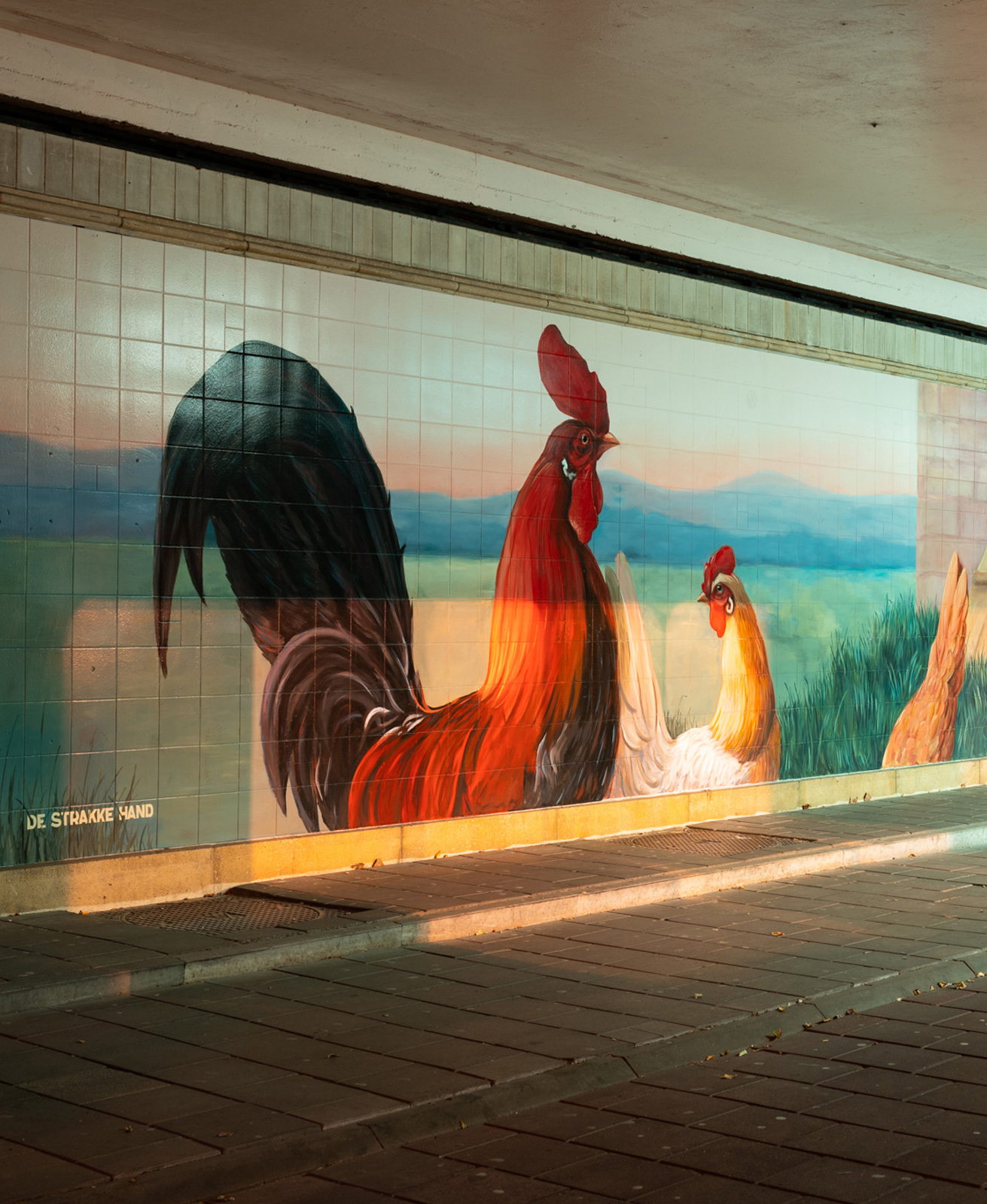 RALPH_ROELSE_2022_11_09_DE_STRAKKE_HAND_Boschdijktunnel_Eindhoven_NL_001_edit